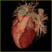 wellness heart